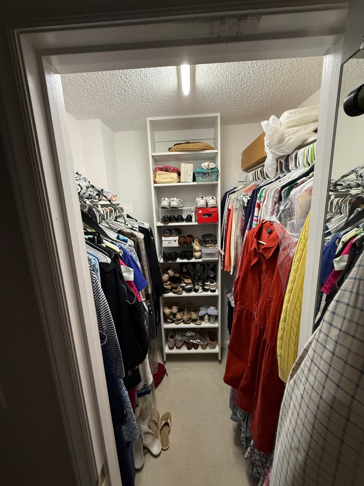 Walk-in closet with shelves