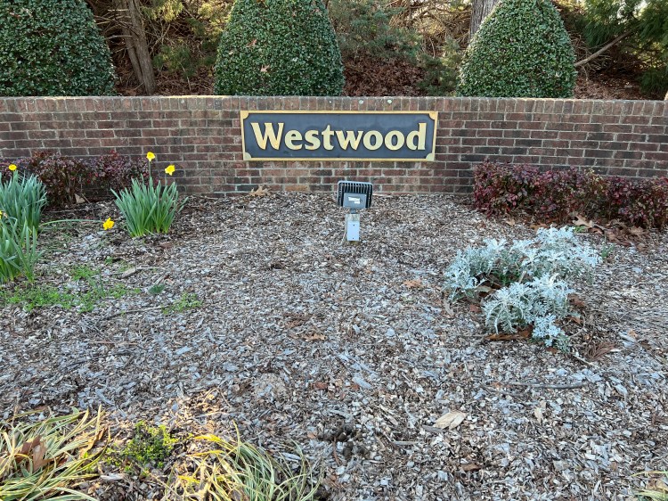 Westwood subdivision in North Raleigh